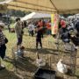 平尾山公園もみじ祭りで移動動物園